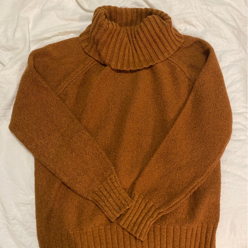 Orange/burnt ember turtle neck
